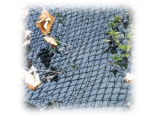 Velda Qualitäts Teichnetz Cover Net 4 x 3 Meter Laubnetz Reiher Vogelnetz Schutz